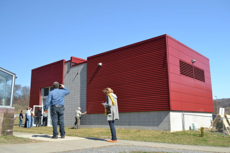 wood chips boiler plant