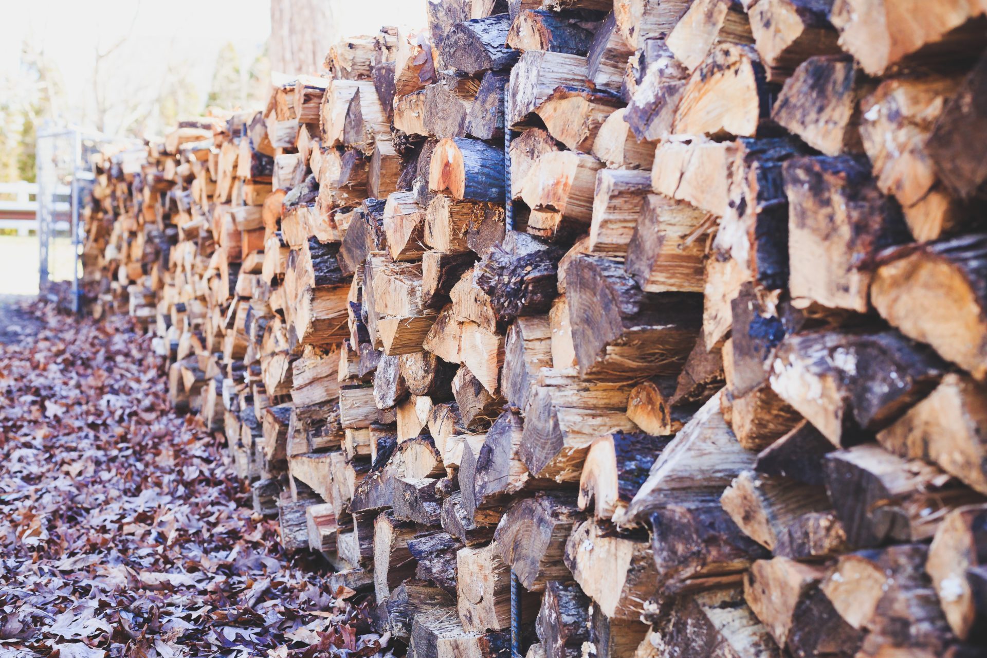 wood furnace vs wood boiler main image